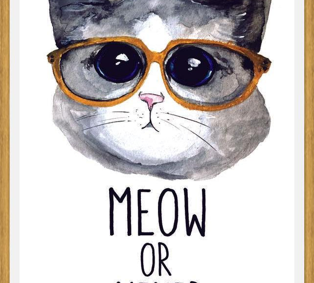 Cuadro Gatito con lentes