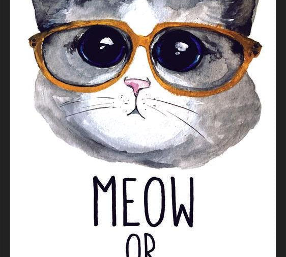 Cuadro Gatito con lentes