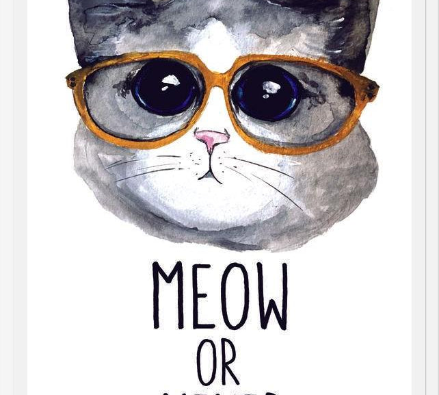 Cuadro Gatito con lentes