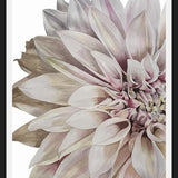 Cuadro Flor Dalia 2
