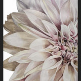 Cuadro Flor Dalia 2