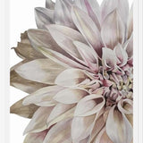 Cuadro Flor Dalia 2
