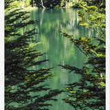 Cuadro Lago Escondido