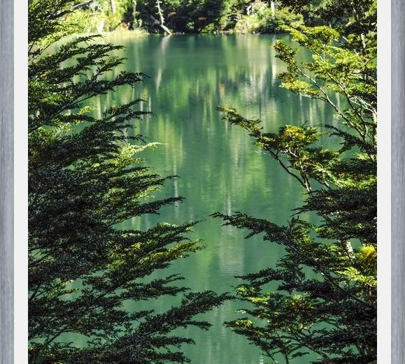 Cuadro Lago Escondido