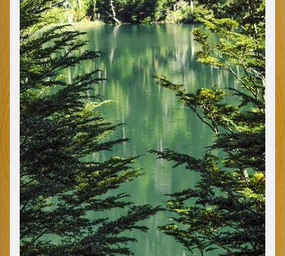 Cuadro Lago Escondido