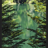 Cuadro Lago Escondido