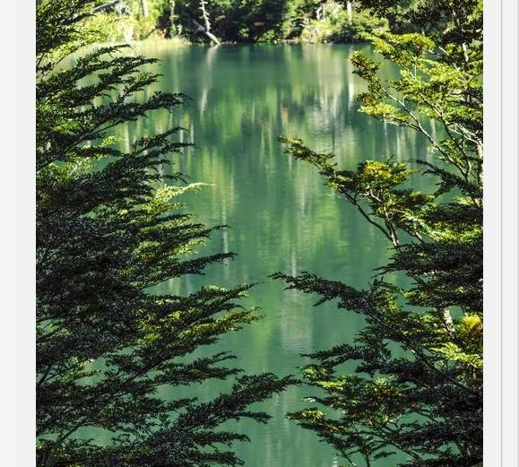 Cuadro Lago Escondido
