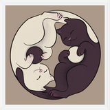 Cuadro Gatos Ying Yang