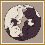 Cuadro Gatos Ying Yang