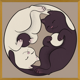 Cuadro Gatos Ying Yang