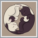 Cuadro Gatos Ying Yang