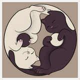 Cuadro Gatos Ying Yang