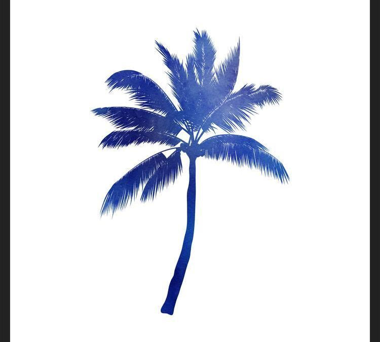 Cuadro Blue Palm Tree III