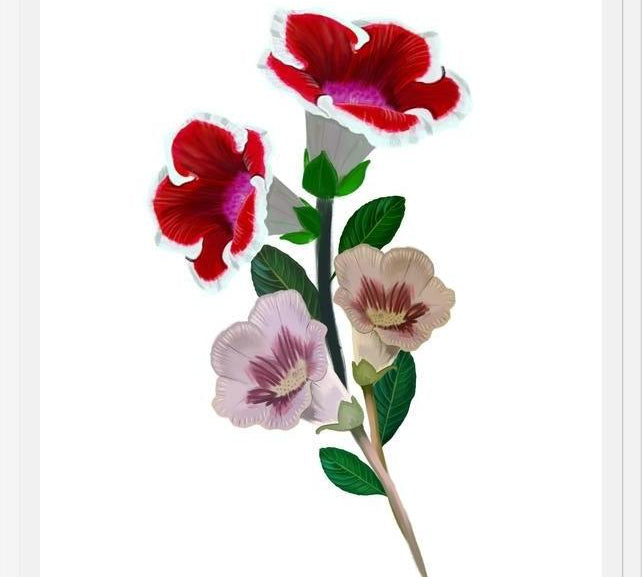 Cuadro Gloxinia bouquet