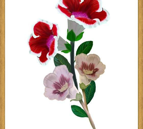 Cuadro Gloxinia bouquet