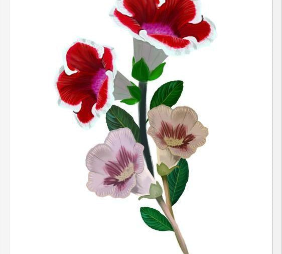 Cuadro Gloxinia bouquet