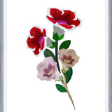 Cuadro Gloxinia bouquet