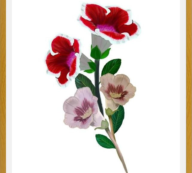 Cuadro Gloxinia bouquet