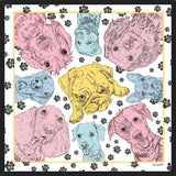 Cuadro Diseño Perros PopArt