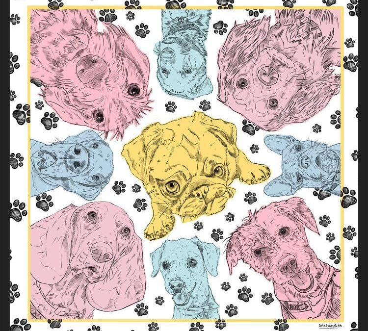 Cuadro Diseño Perros PopArt