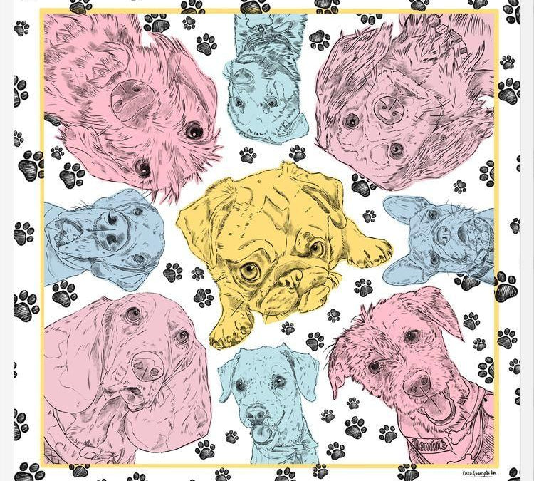 Cuadro Diseño Perros PopArt
