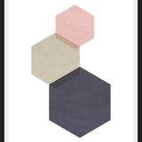 Cuadro 3 hexagons - pink