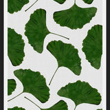 Cuadro Ginkgo Leaf II