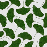 Canvas Ginkgo Leaf II