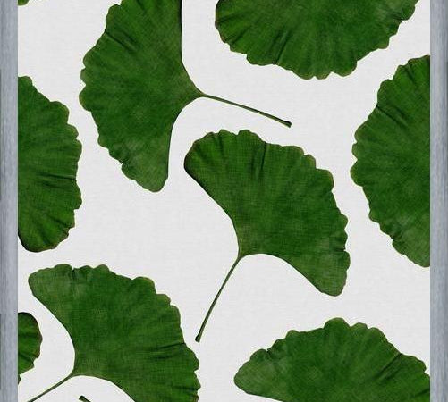 Cuadro Ginkgo Leaf II