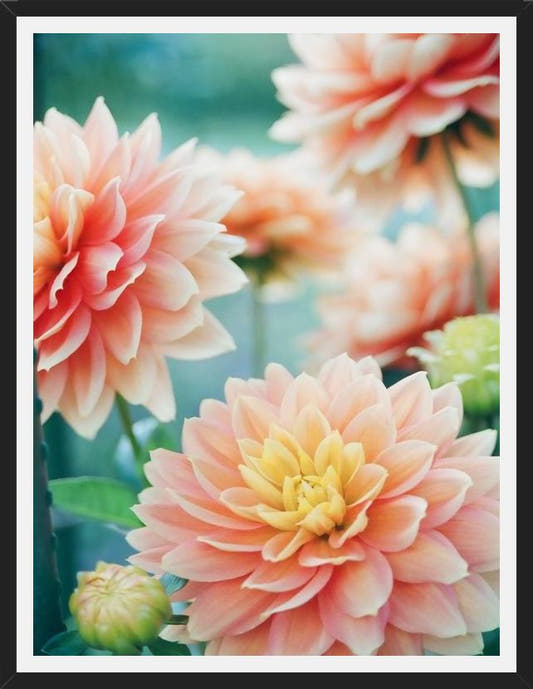 Cuadro Happy Flowers