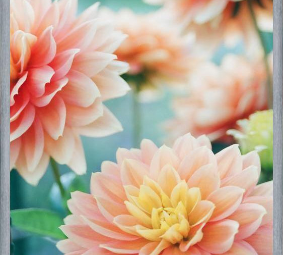 Cuadro Happy Flowers