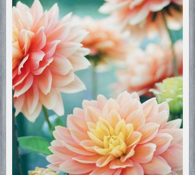 Cuadro Happy Flowers