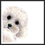 Cuadro Poodle Toy en acuarela
