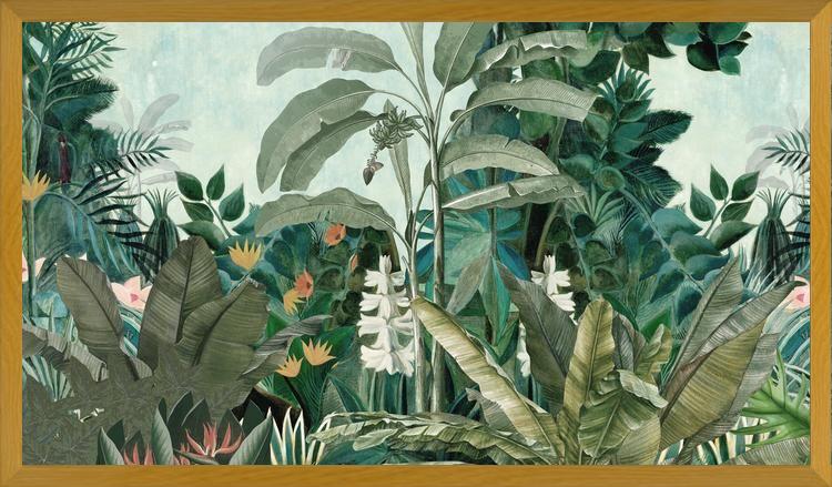 Cuadro Selva