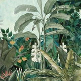 Canvas Selva