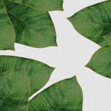 Canvas Banana Leaf I
