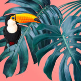 Canvas The Toucan