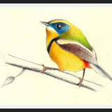 Cuadro Siete_Colores