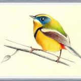 Cuadro Siete_Colores