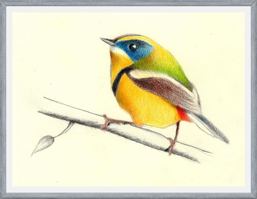 Cuadro Siete_Colores