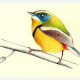 Cuadro Siete_Colores