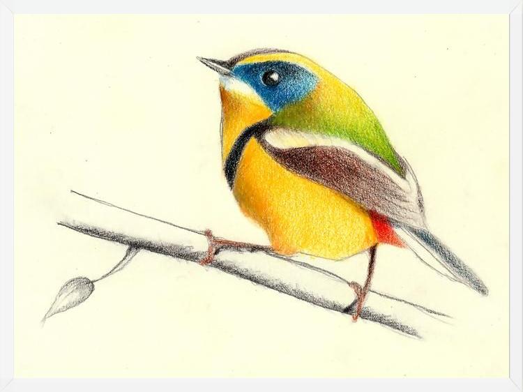 Cuadro Siete_Colores