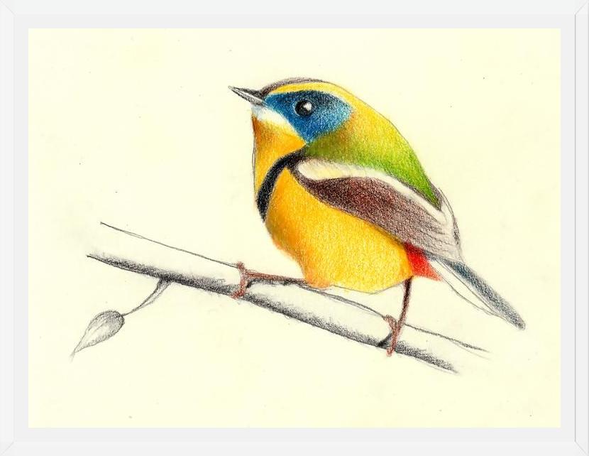 Cuadro Siete_Colores