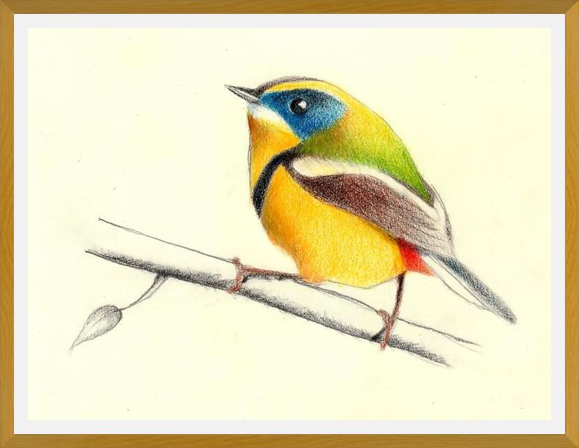 Cuadro Siete_Colores