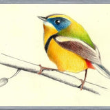 Cuadro Siete_Colores