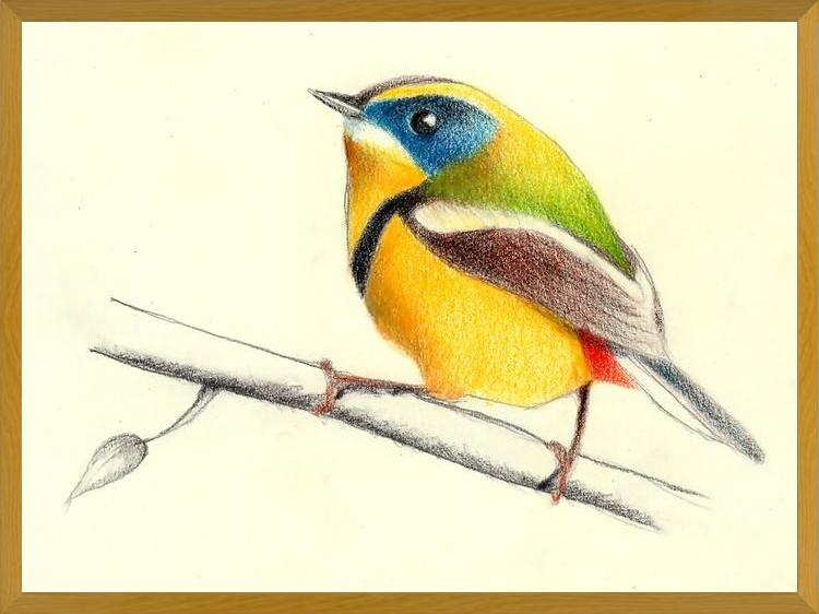 Cuadro Siete_Colores
