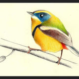 Cuadro Siete_Colores