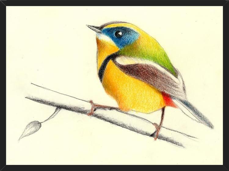 Cuadro Siete_Colores