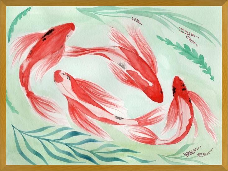 Cuadro Peces Koi