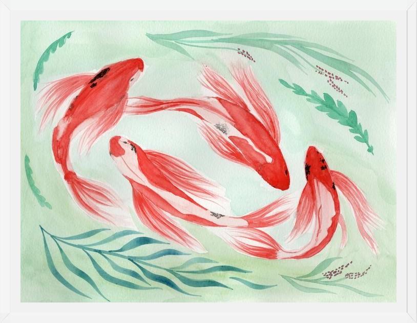 Cuadro Peces Koi